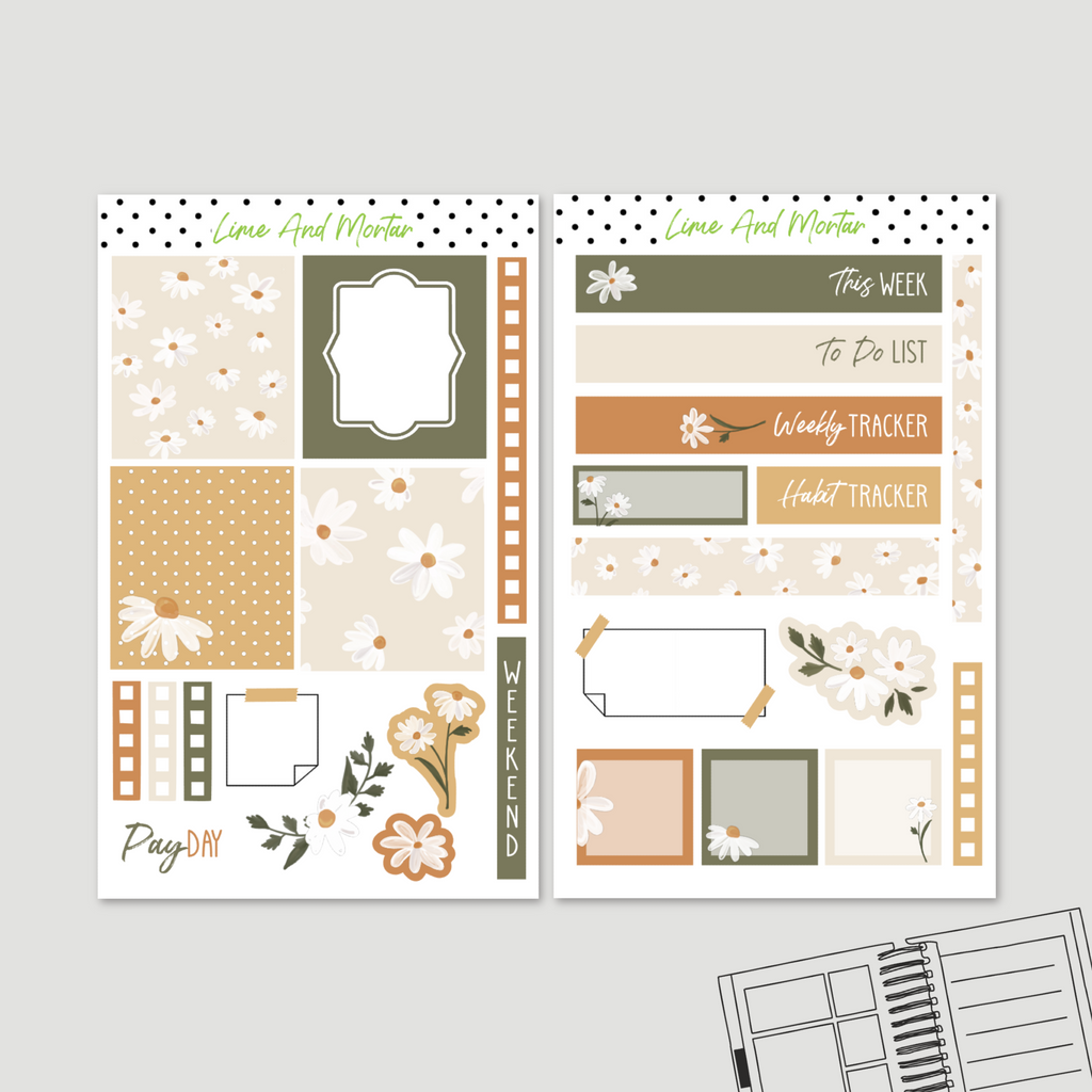 DAISY | Lime Weekly Kit
