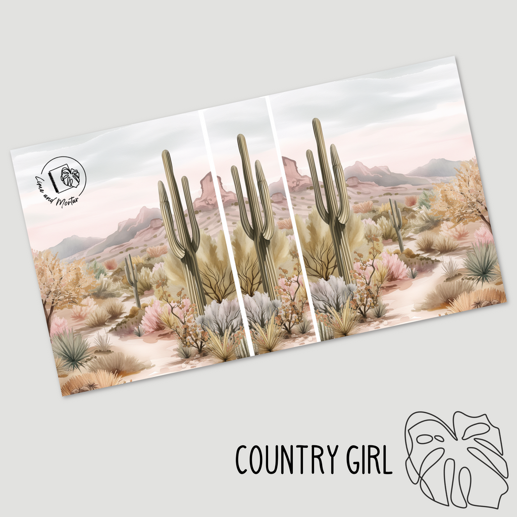 Sticker Albums | Lots of Cover Designs
