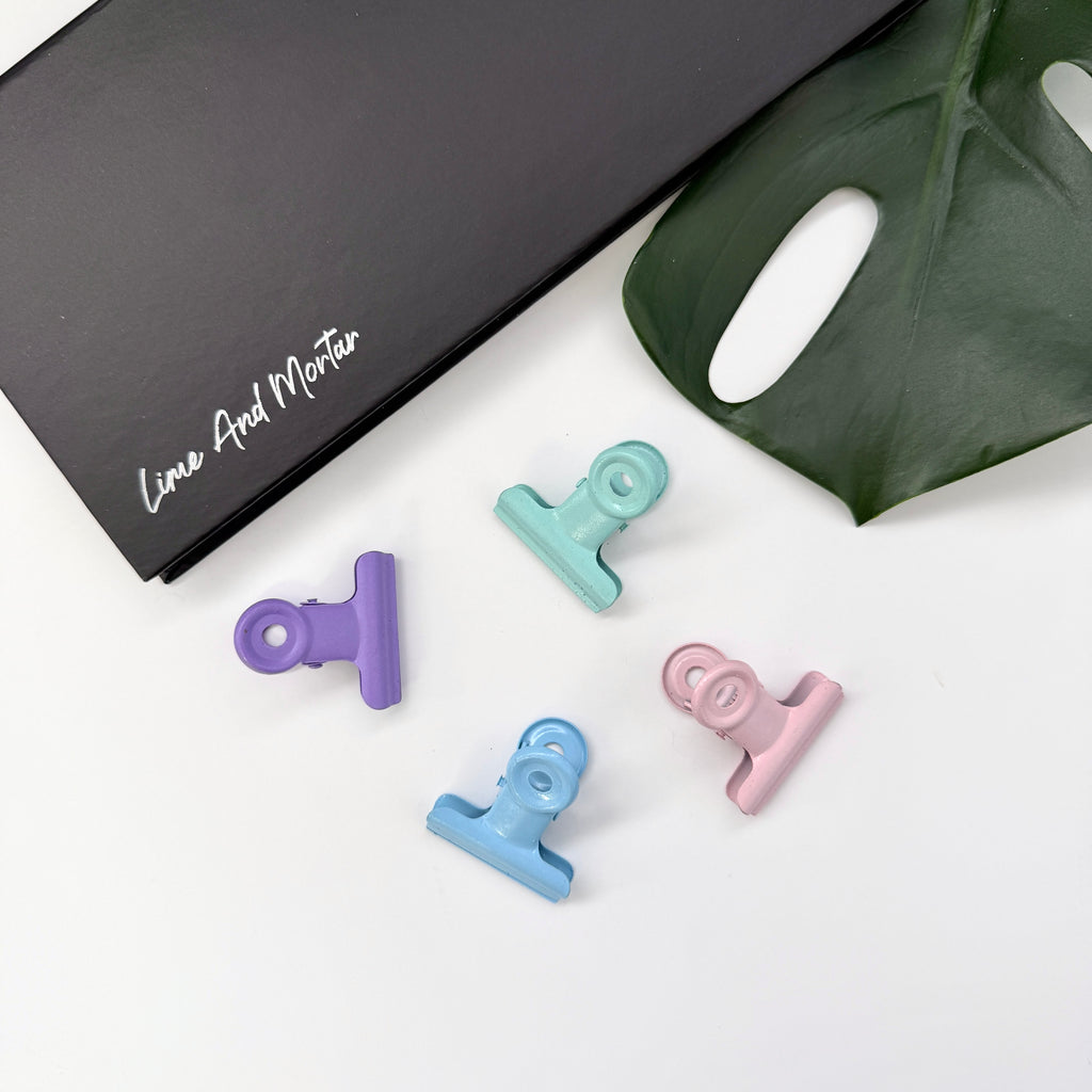 Pastel Metal Clips | Pack of 4