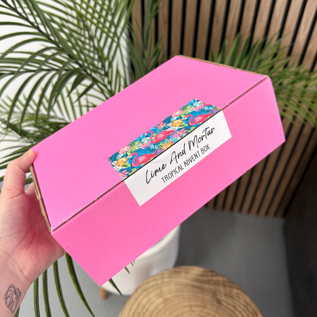 Tropical Advent Box 🌴