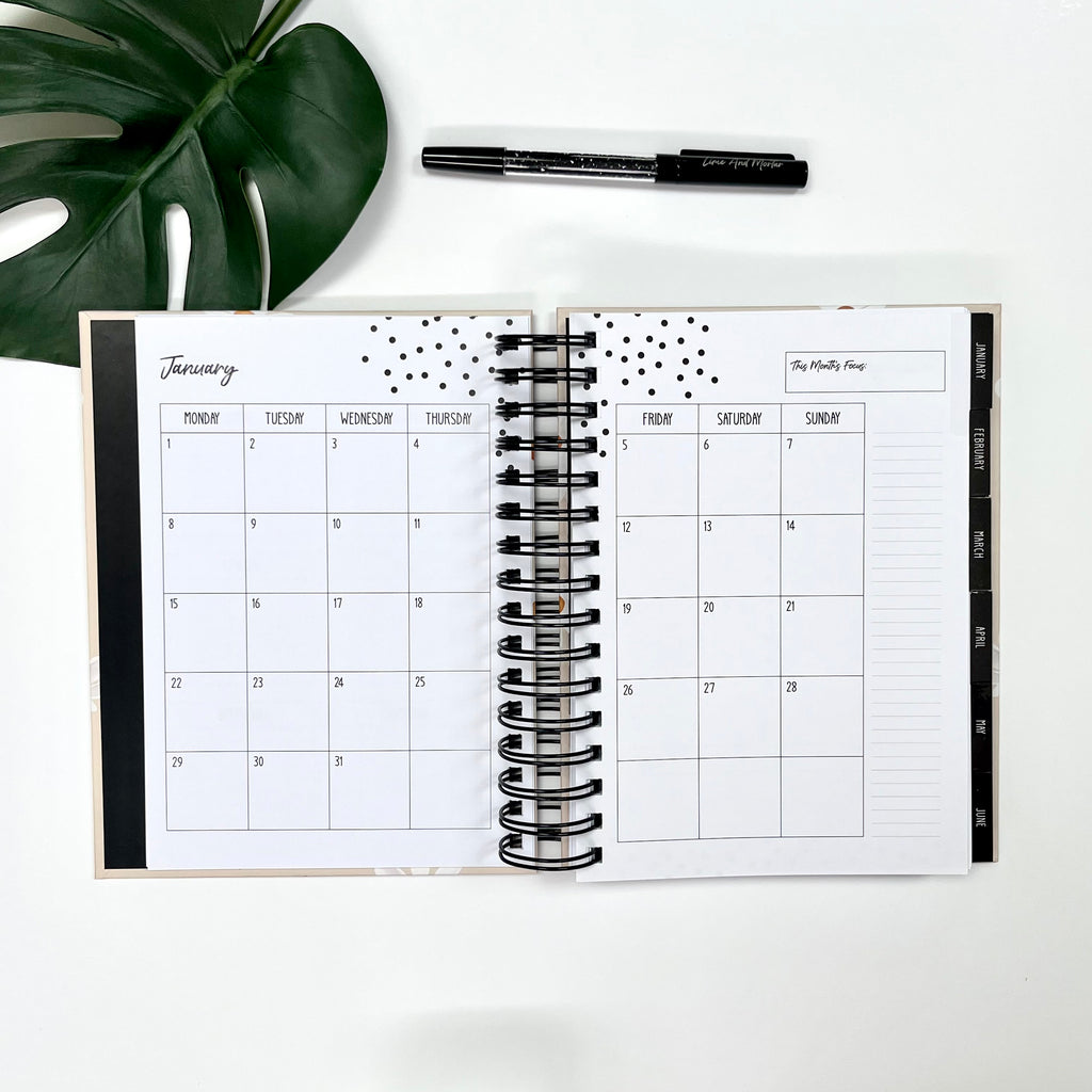 PALMS | 2024 Lime Weekly Planner