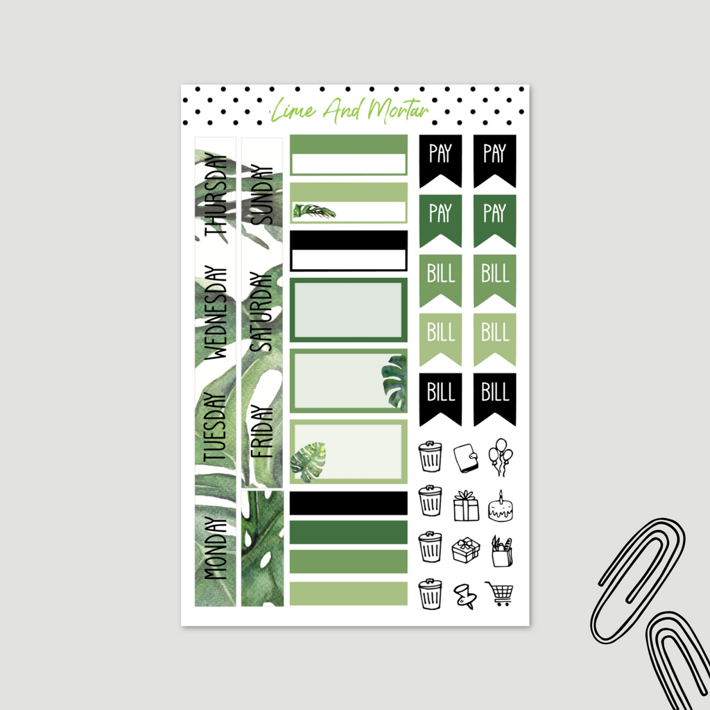 Monstera | Lime Weekly + Monthly Kit