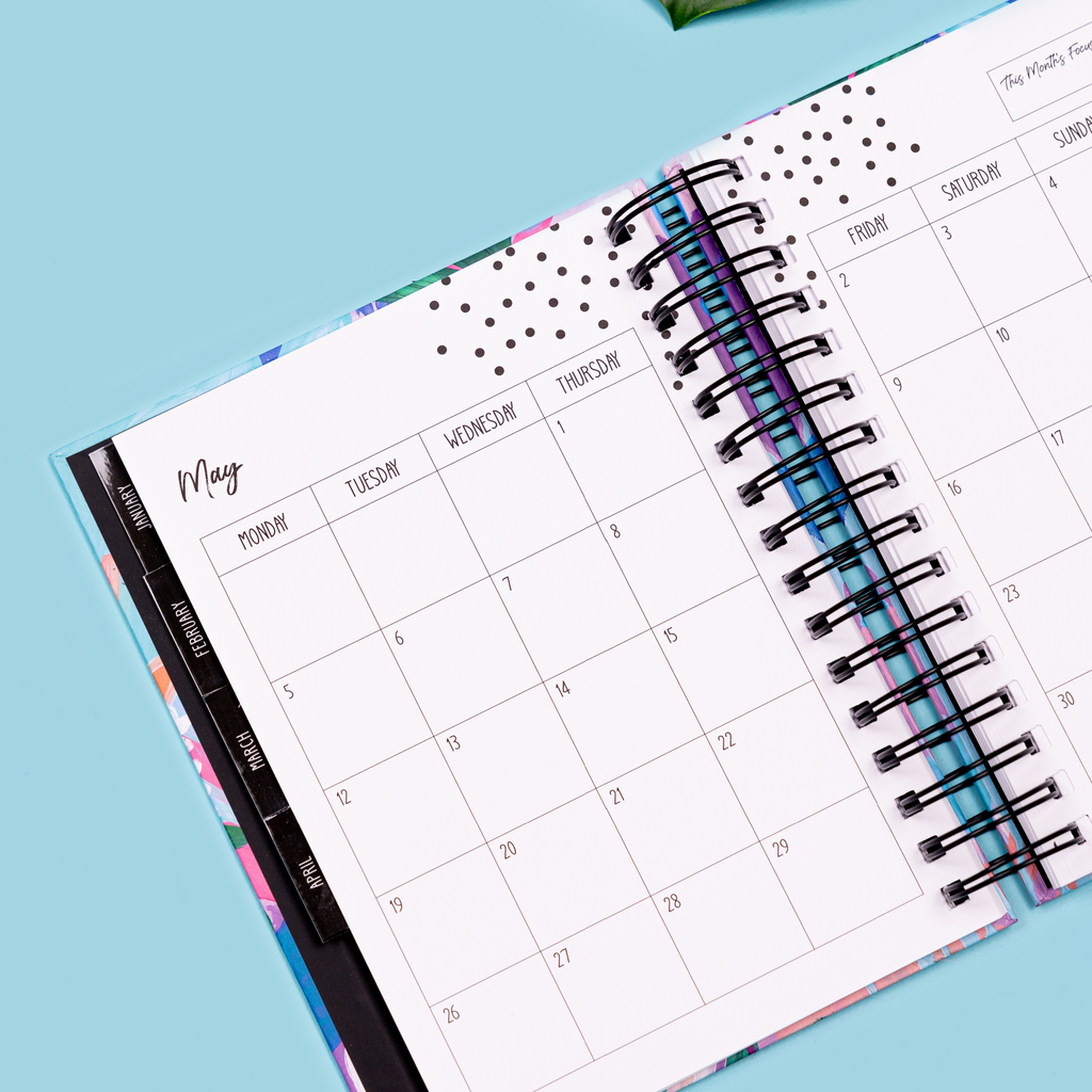 Monthly Day Strips | Many Colours