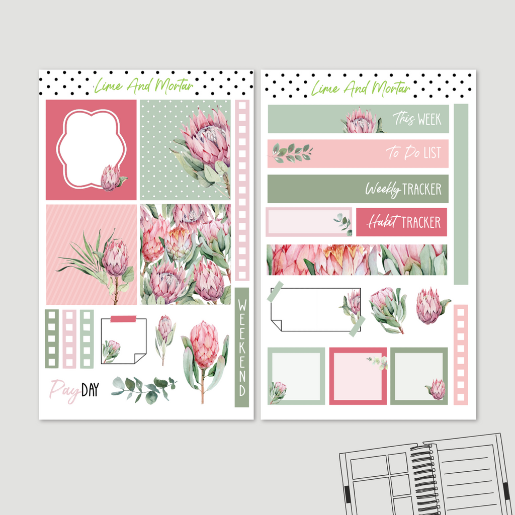 Protea | Lime Weekly Kit