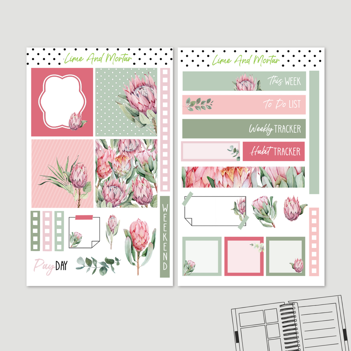 Protea Lime Weekly Kit Lime And Mortar
