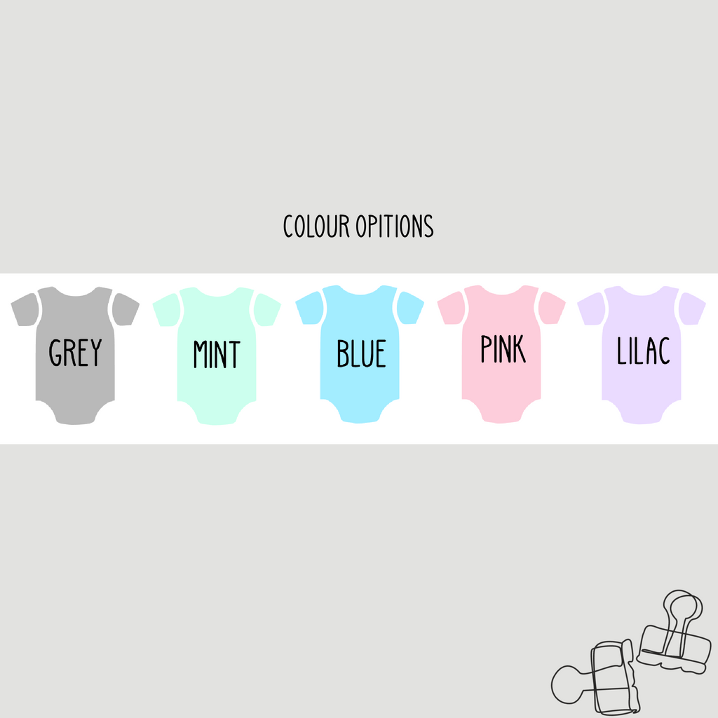 Baby Milestones Stickers | 6 Colours