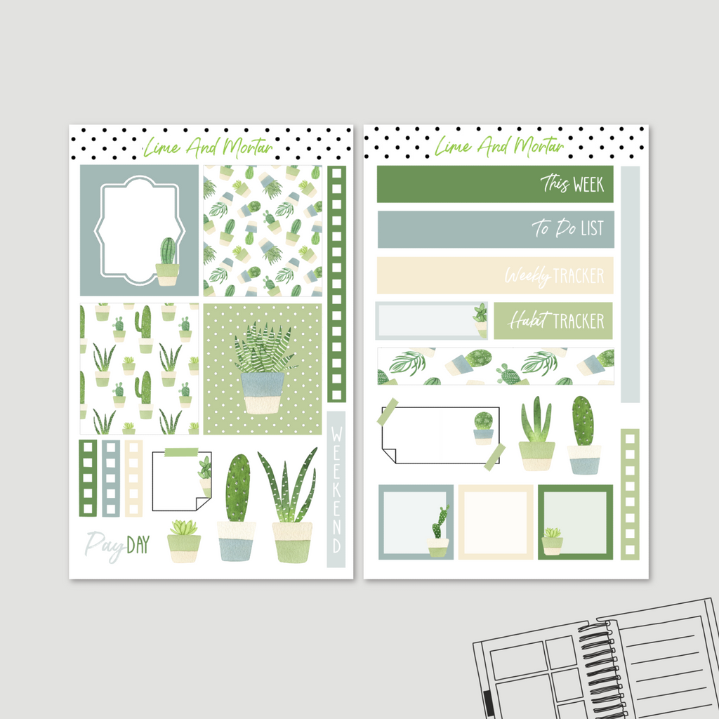 Cactus | Lime Weekly Kit