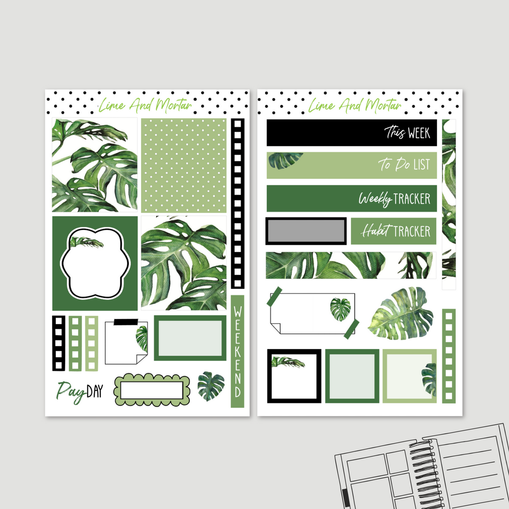 Monstera | Lime Weekly + Monthly Kit