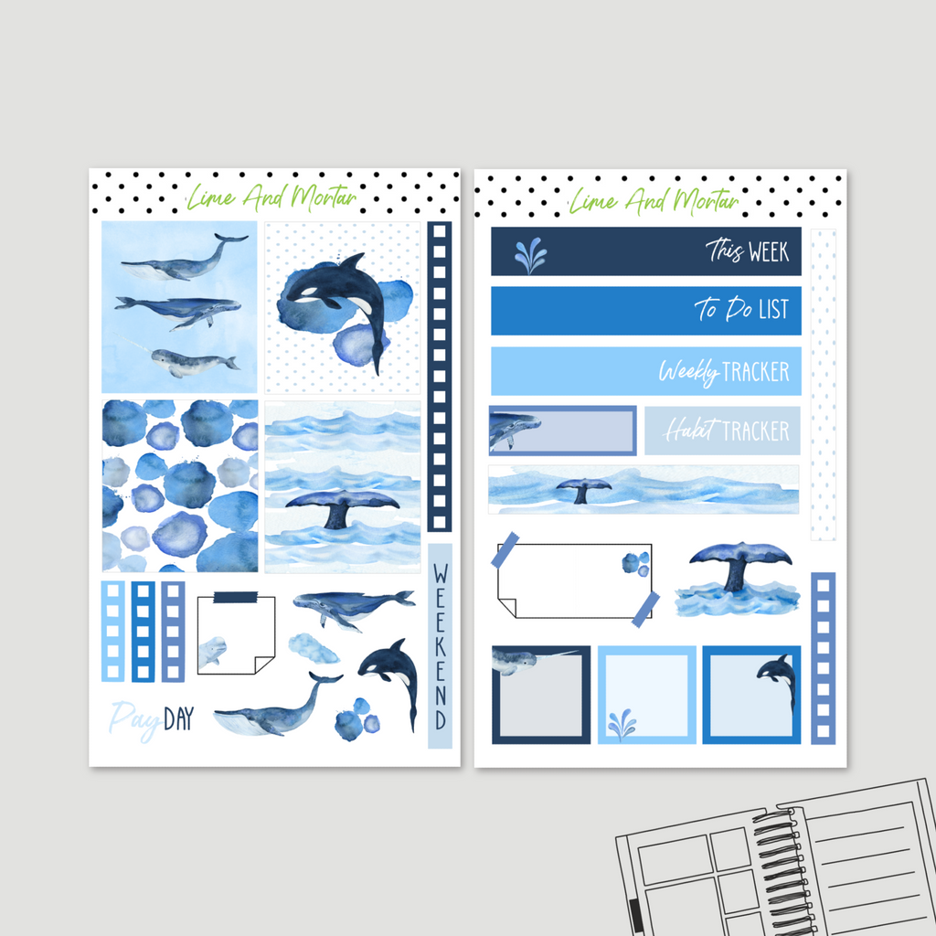 Whale | Lime Weekly Kit