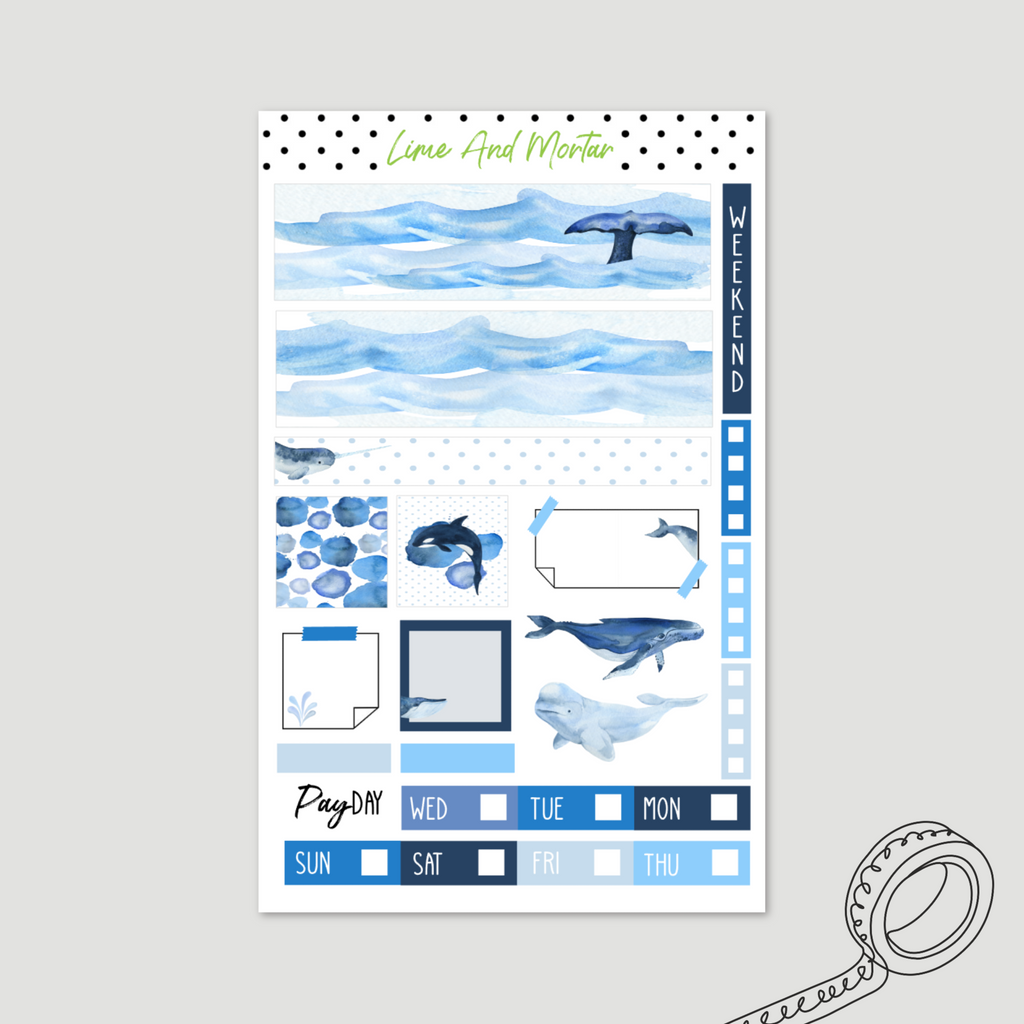 Whales | Mini Weeks Kit