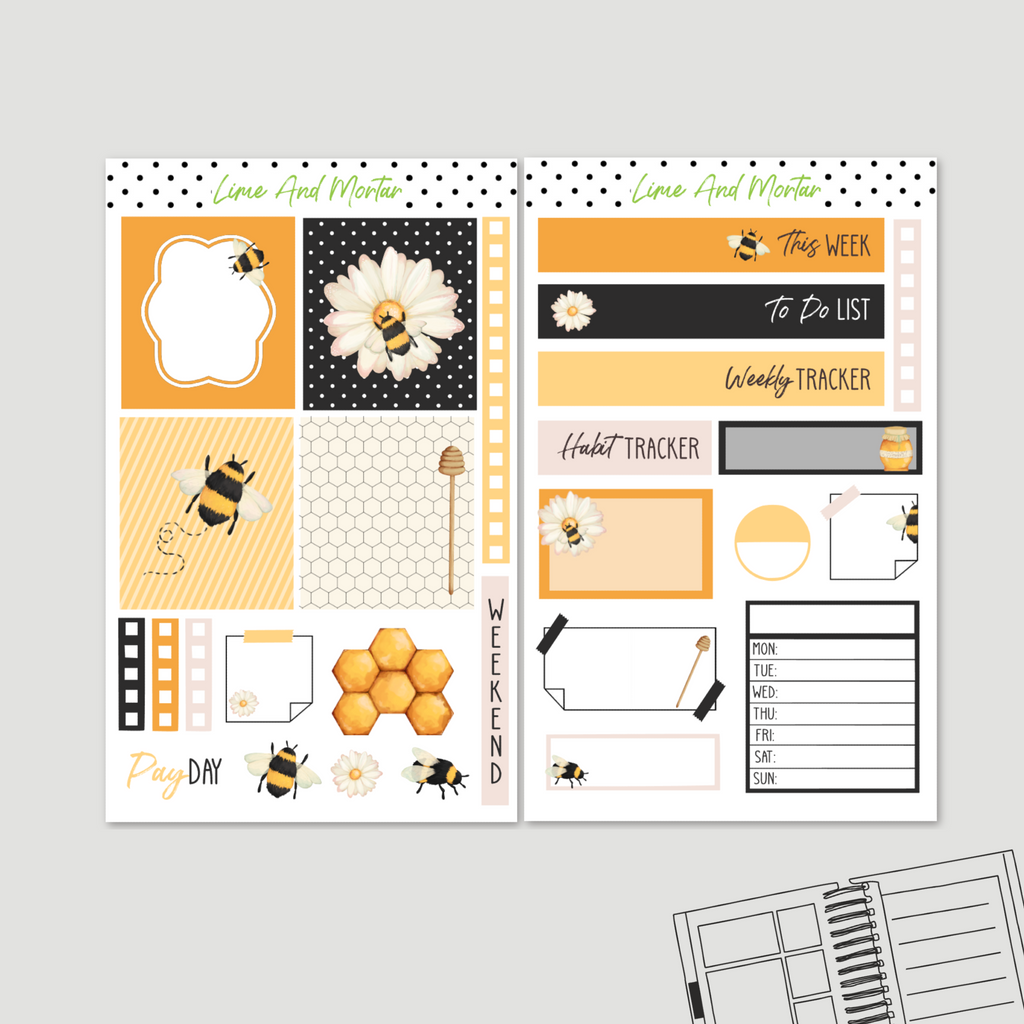 Bee Daisy | Lime Weekly Kit